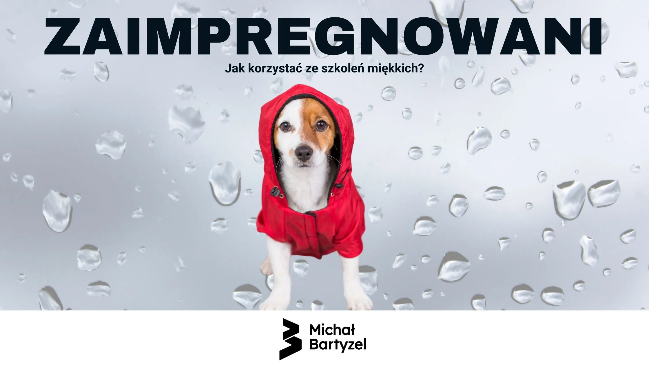 Zaimpregnowani